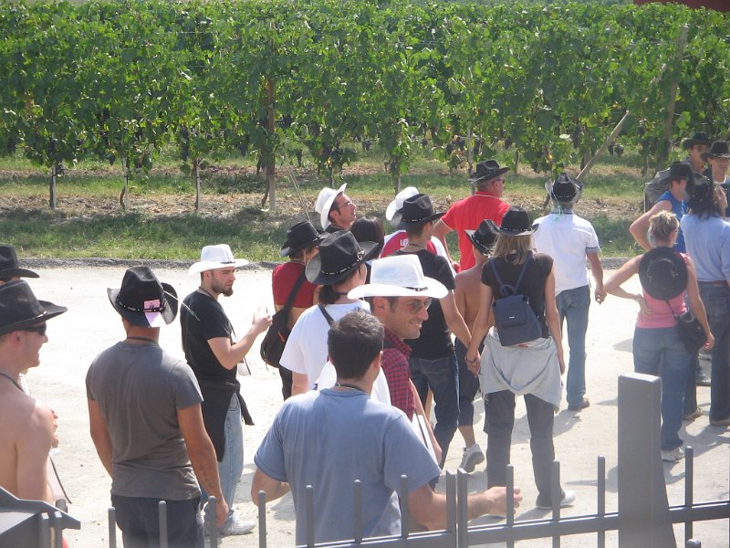 castellinaldo 2009 016